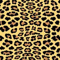 padrão de impressão de leopardo, chita e onça. design de padrão de impressão de pele de animal. vetor