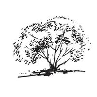 arbusto desenhado à mão. imagem realista em preto e branco, esboço pintado com pincel de tinta vetor