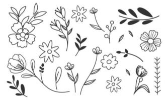 vetor de rabiscos de flores e galhos desenhados à mão
