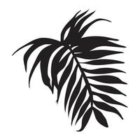 silhueta de palmeira de folha exótica vetor