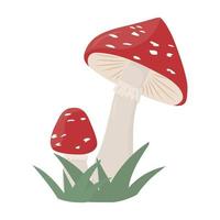 cogumelo amanita com grama vetor