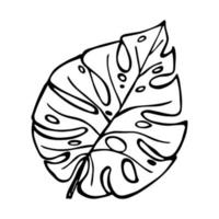 ilustração de folha de monstera tropical simples. clipart vetorial desenhado à mão. rabisco botânico vetor