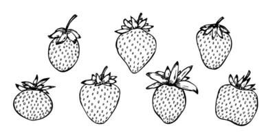 conjunto de vetores de clipart de morango. ícone de baga desenhada de mão. ilustração de frutas. para impressão, web, design, decoração, logotipo.