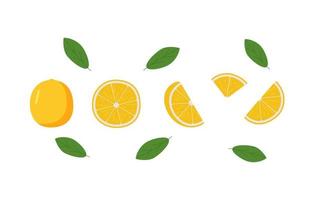 conjunto de frutas laranjas dos desenhos animados, ilustração vetorial de frutas cítricas inteiras e fatias vetor