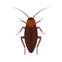 ícone de vetor de inseto barata acima da praga. bug de desenho animado de vista superior animal marrom. poluição de parasitas de corpo plano