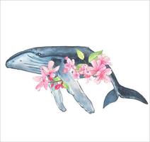 baleia azul com flores de cerejeira. ilustração em aquarela desenhada à mão. vetor
