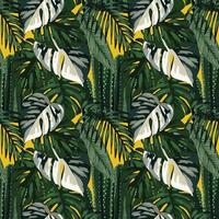 folhas tropicais e design de arte sem costura tropical vetor