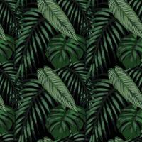 folhas tropicais e vetor de design sem costura tropical