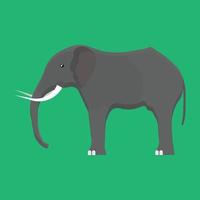 elefante vista lateral vetor ícone cinza ilustração animal. zoológico de áfrica de mamíferos isolados. safári vida selvagem desenho natureza