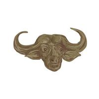 desenho de cabeça de búfalo africano vetor