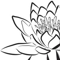 silhueta de uma flor com contorno preto e fundo branco vetor