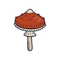 cogumelo bonito no estilo doodle. cogumelo venenoso, agárico, cogumelo venenoso. ilustração de mão isolada em vetor