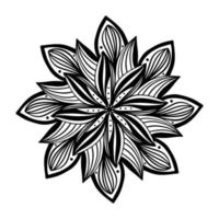 floral, flores de mandala de aster desenhadas à mão em estilo doodle isolado no fundo branco. página para colorir para adultos e crianças, decorando a sala de jogos para crianças ou cartão de felicitações. crisântemo, lótus. vetor