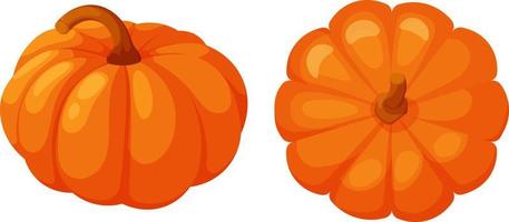 abóbora laranja brilhante em estilo cartoon vetor