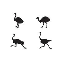 vetor de ícone de avestruz