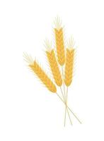 ícone de espigas de trigo vetor