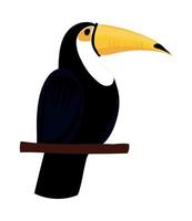 ícone de pássaro tucano vetor