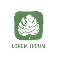 logotipo para loja orgânica e cosméticos naturais. folha tropical em estilo desenhado à mão sobre fundo verde vetor