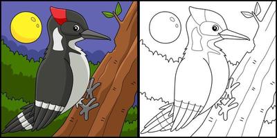 ilustração de página para colorir animal pássaro pica-pau vetor