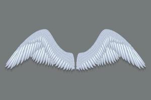 asas de anjo branco vetor
