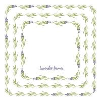 definir o modelo de lindos quadros florais de lavanda violeta em estilo aquarela plano isolado no fundo branco para design decorativo, cartão de casamento, convite, base de viagem. ilustração botânica vetor