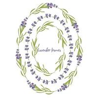 definir o modelo de lindos quadros florais de lavanda violeta em estilo aquarela plano isolado no fundo branco para design decorativo, cartão de casamento, convite, base de viagem. ilustração botânica vetor