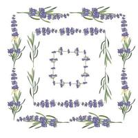 definir o modelo de lindos quadros florais de lavanda violeta em estilo aquarela vetorial isolado no fundo branco para design decorativo, cartão de casamento, convite, base de viagem. ilustração botânica vetor