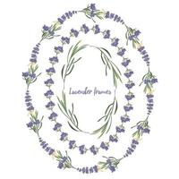 definir o modelo de lindos quadros florais de lavanda violeta em estilo aquarela vetorial isolado no fundo branco para design decorativo, cartão de casamento, convite, base de viagem. ilustração botânica vetor