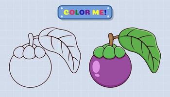 A página do livro de colorir mangostão vem com esboços e amostras de cores para crianças e educação pré-escolar. ilustração de estilo de desenho animado vetor