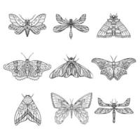 conjunto de borboletas noturnas vetoriais, mariposas. ilustração desenhada à mão. fundo preto e branco. vetor
