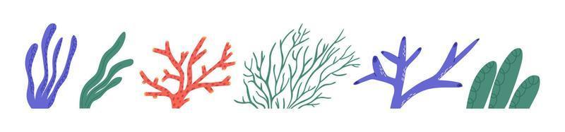 conjunto de algas e elementos de recifes de corais - ilustração em vetor plana dos desenhos animados isolada no fundo branco. flora aquática fofa. conceito de férias de mar e verão.