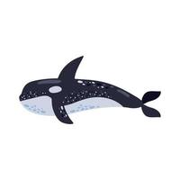 vida marinha baleia orca vetor
