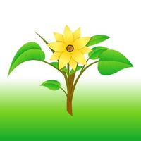 flor de melampodium, pequeno girassol amarelo, melhor de fundo, estampa floral de travesseiro de rasfur, etc - flor amarela de vetor livre