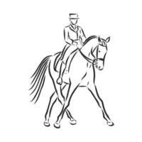 desenho vetorial de treinamento de cavalos vetor