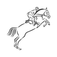desenho vetorial de treinamento de cavalos vetor