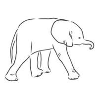 desenho vetorial de elefante vetor