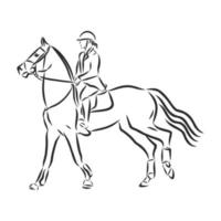 desenho vetorial de treinamento de cavalos vetor