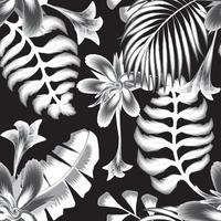 preto e branco monocromático cor estilo tropical sem costura padrão com ilustração de selva bela noite. textura de desenho vetorial para pano de camisa ou têxtil. verão tropical exótico. papel de parede da natureza vetor