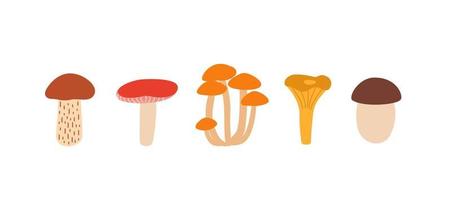 conjunto de vetor de ícones de cogumelos. ilustração de boletos, chanterelles, cogumelos de mel, cogumelo de álamo e russula
