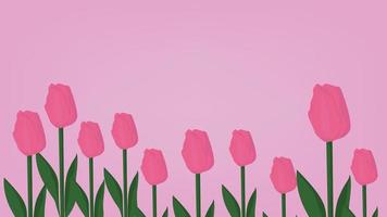 tulipas cor de rosa em fundo rosa vetor