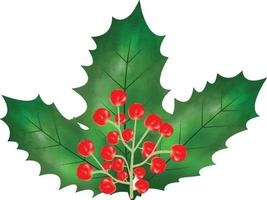 ilustração em vetor símbolo de Natal. folhas de azevinho de natal e galhos com ilustração vetorial de aquarela de frutas vermelhas de inverno para elemento decorativo. conjunto vetorial de folhas de azevinho perene de natal.