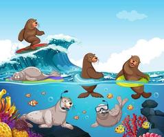 cena do oceano com leão-marinho e personagem de desenho animado de foca vetor