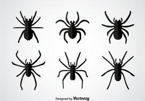 Vector de Tarantula