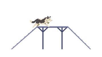 Border collie cão treinamento na ilustração vetorial plana de campo de agilidade. cão passando slide de pensionista. isolado. vetor