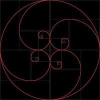 espiral de fibonacci. proporção áurea vetor