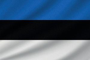 bandeira nacional da estônia vetor