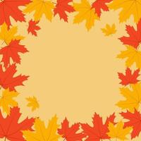folhas de outono. quadro com folhas de bordo de outono. fundo de queda. ilustração vetorial vetor