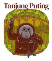 Parque Nacional Tanjung Puting vetor