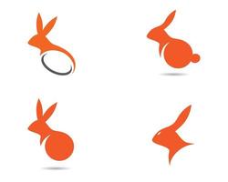 conjunto de logotipo de coelho laranja vetor