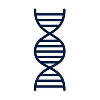 molécula de DNA genética vetor